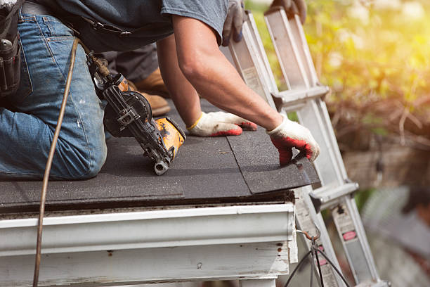 Best Roof Gutter Cleaning  in Danielson, CT
